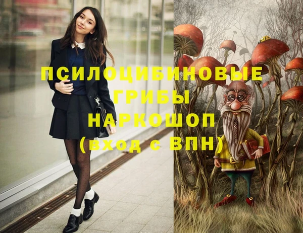 ешки Богородицк
