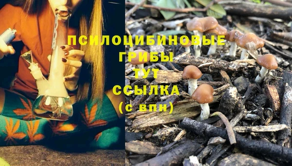 ешки Богородицк