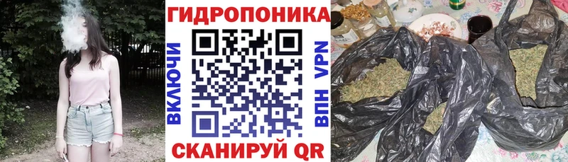 МАРИХУАНА конопля Купить где Борисоглебск